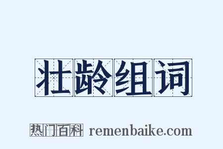 壮龄组词是什么意思的图片